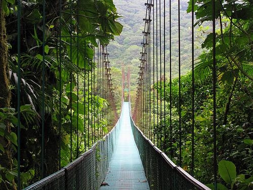 Pont penjat al bosc Monteverde, Costa Rica