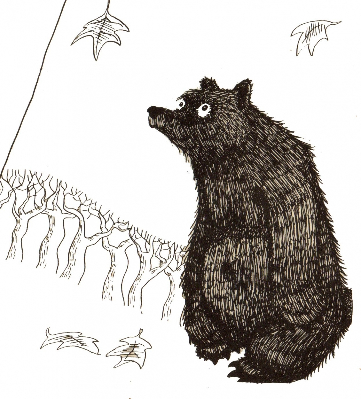 Una de les il·lustracions de 'Jo sóc un ós'