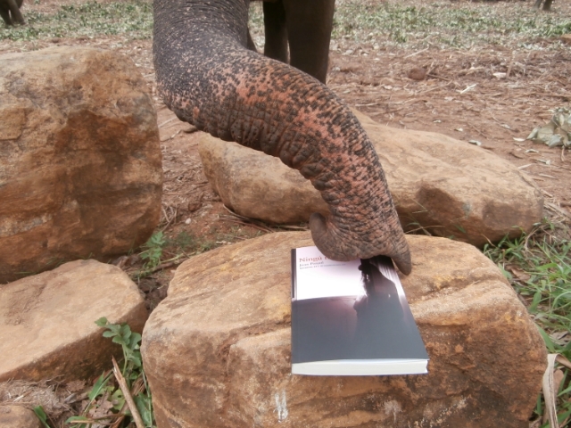 La novel·la, entre elefants a Sri Lanka. Foto: Raquel Talavera
