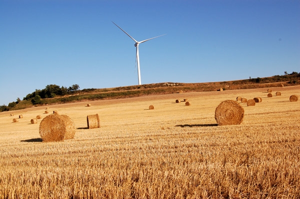 La vinculació del 'Cas Gürtel' amb els parcs eòlics, de les més llegides