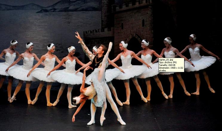 'El llac dels cignes' representat pel Ballet de Moscou