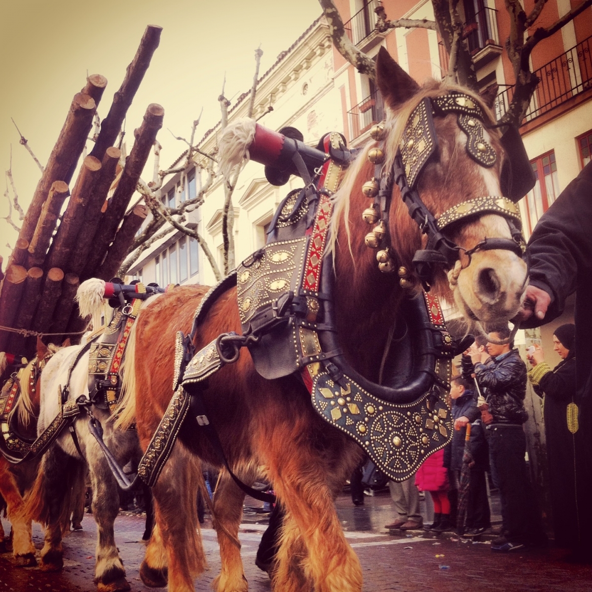 Una vuitantena de carros participaran als tres tombs