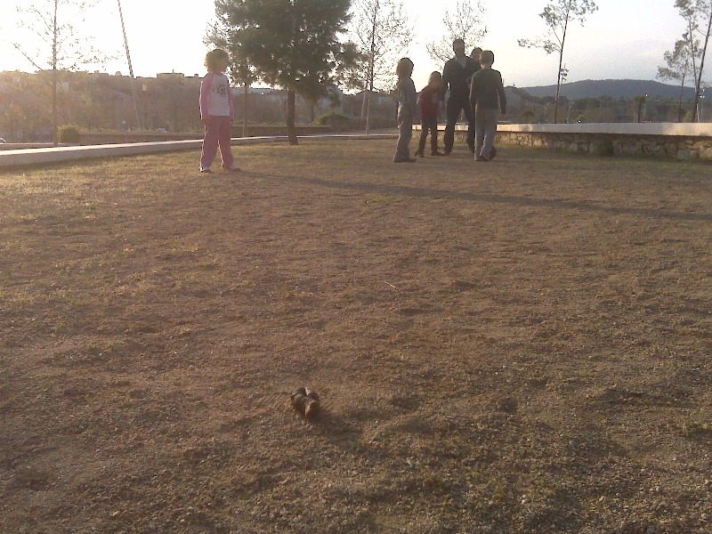 El Parc de Valldaura, una zona on s'acostumen a passejar gossos