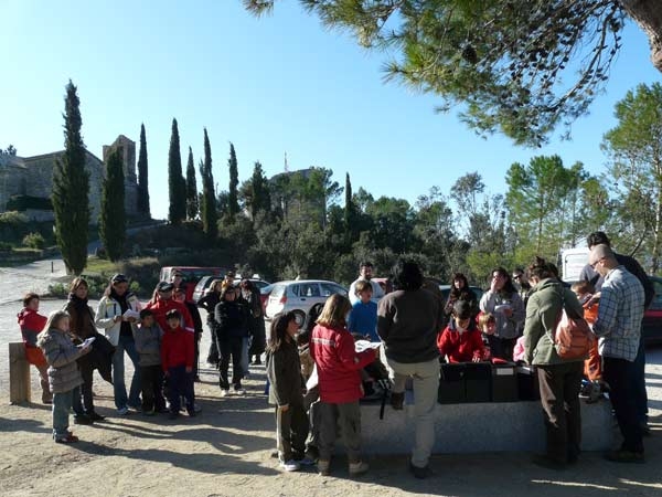 Plantada d'arbres a la Tossa