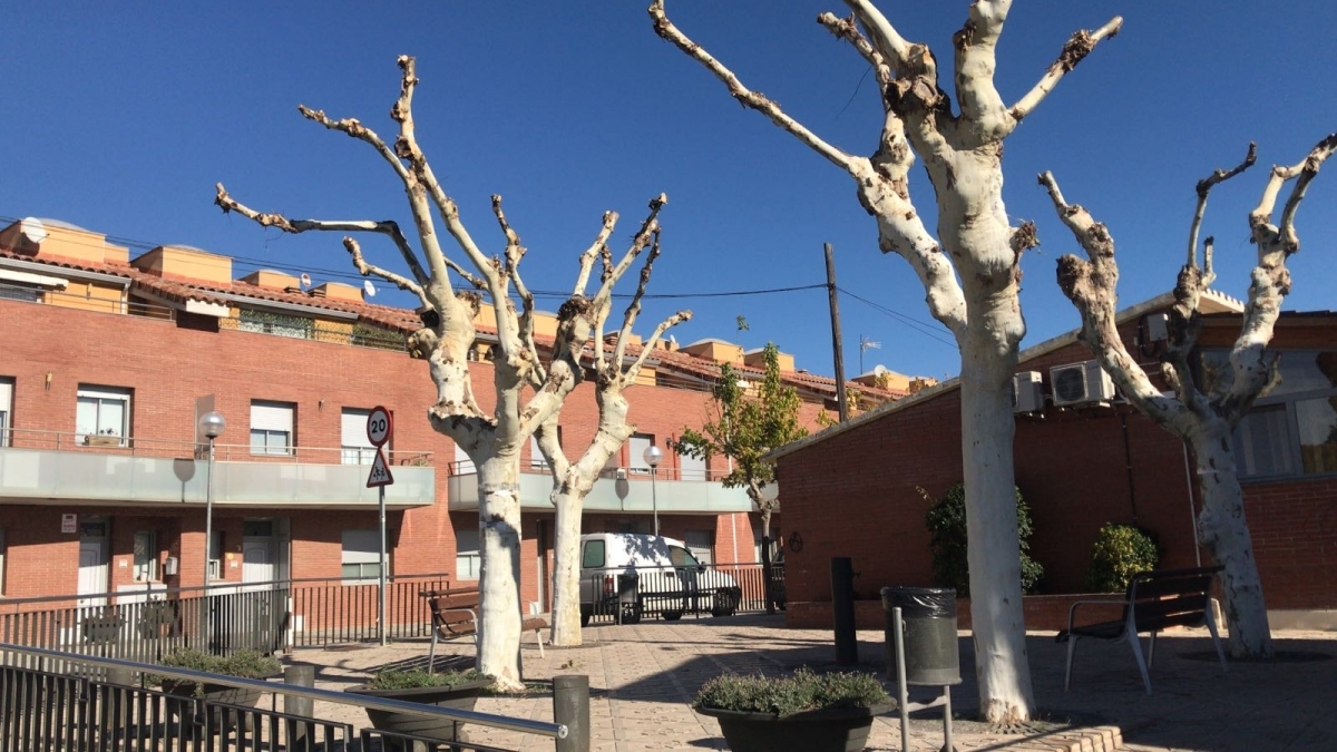 Els arbres dels espais públics de Vallbona seran esporgats