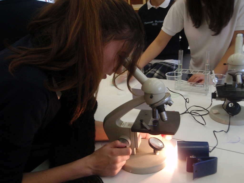 S'amplia el material pel laboratori