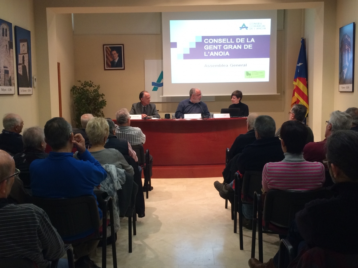 El Consell va acollir l'assemblea