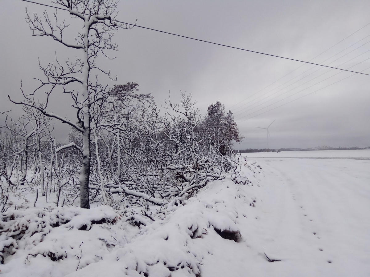 Imatges de ple hivern a Pujalt FOTO: Observatori de Pujalt