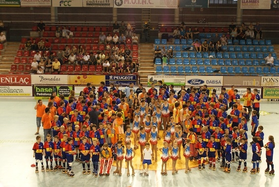 Els equips de l'IHC per a la temporada 2010-2011