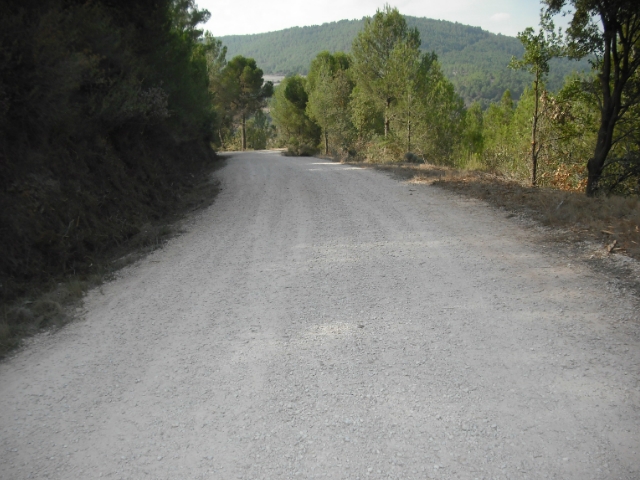 Camí de la Sala