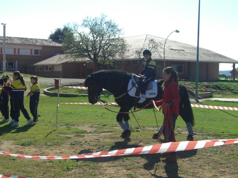 Al Montclar han entrat en contacte amb els animals