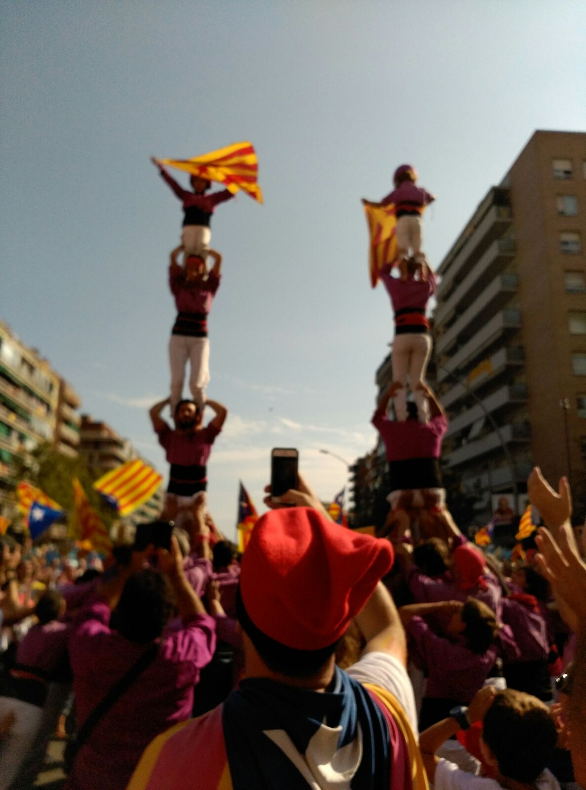 El tram de l'Anoia, ahir, a la Via Lliure. Foto: Olga Guix Castells