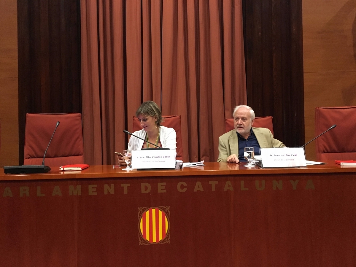 Alba Vergés ha presidit la comissió parlamentària d'investigació sobre l'anomenada 