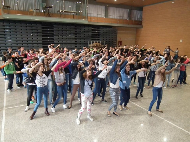 Es van dur a terme diferents activitats