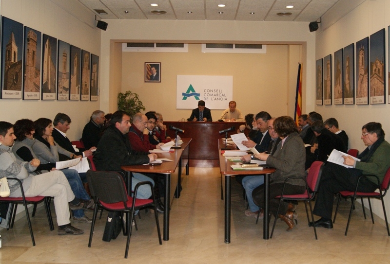 Al Consell la moció s'haurà de votar en el proper ple