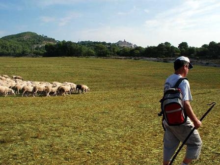 La iniciativa ha tingut bona acollida