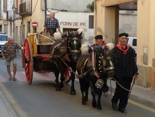 Festa del raïm. Arxiu