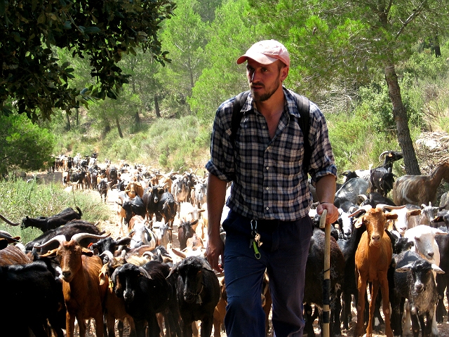 Eduard Balsells amb el seu ramat