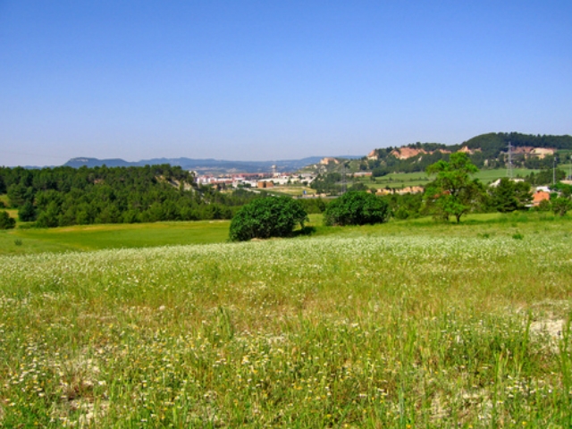 Vista des d'Òdena. Foto: Joan Miquel