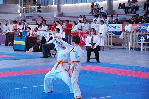 Dos dels participants, practicant tai jitsu