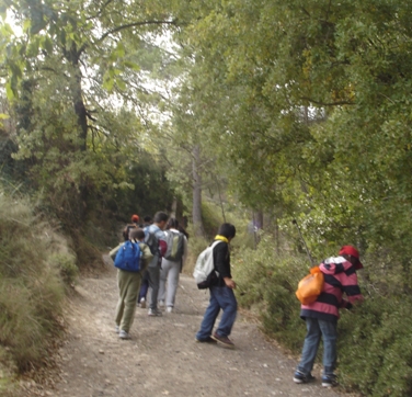 Sortida a La Tossa - CEIP Garcia Fossas