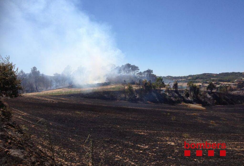 La zona cremada. Foto: Bombers de la Generalitat