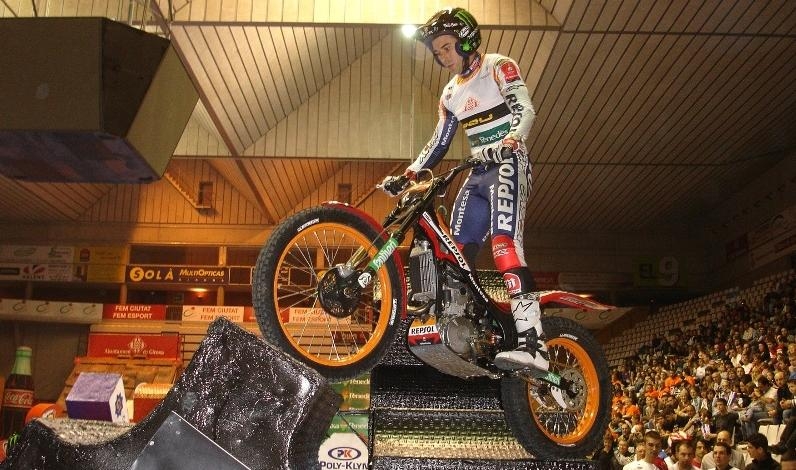 El pilot pierenc és un dels grans favorits