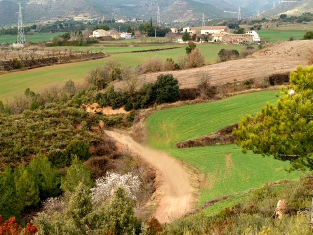 Zona dels camps de l'Enric on va ser trobada morta Joana, M.B.