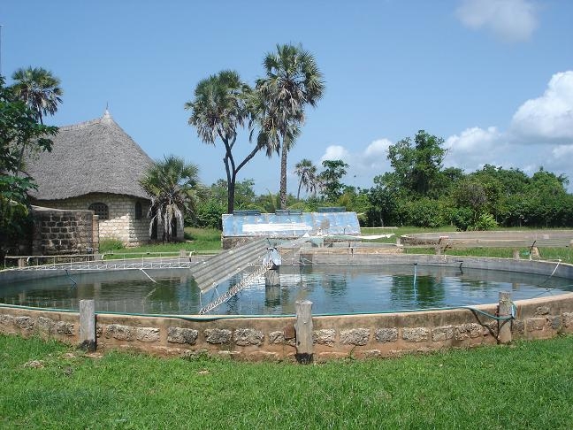 Un embassament de cultiu d'spirulina