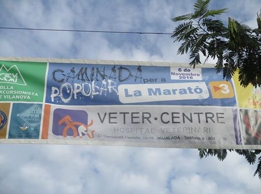 Participació important a la caminada solidària de Vilanova del Camí.