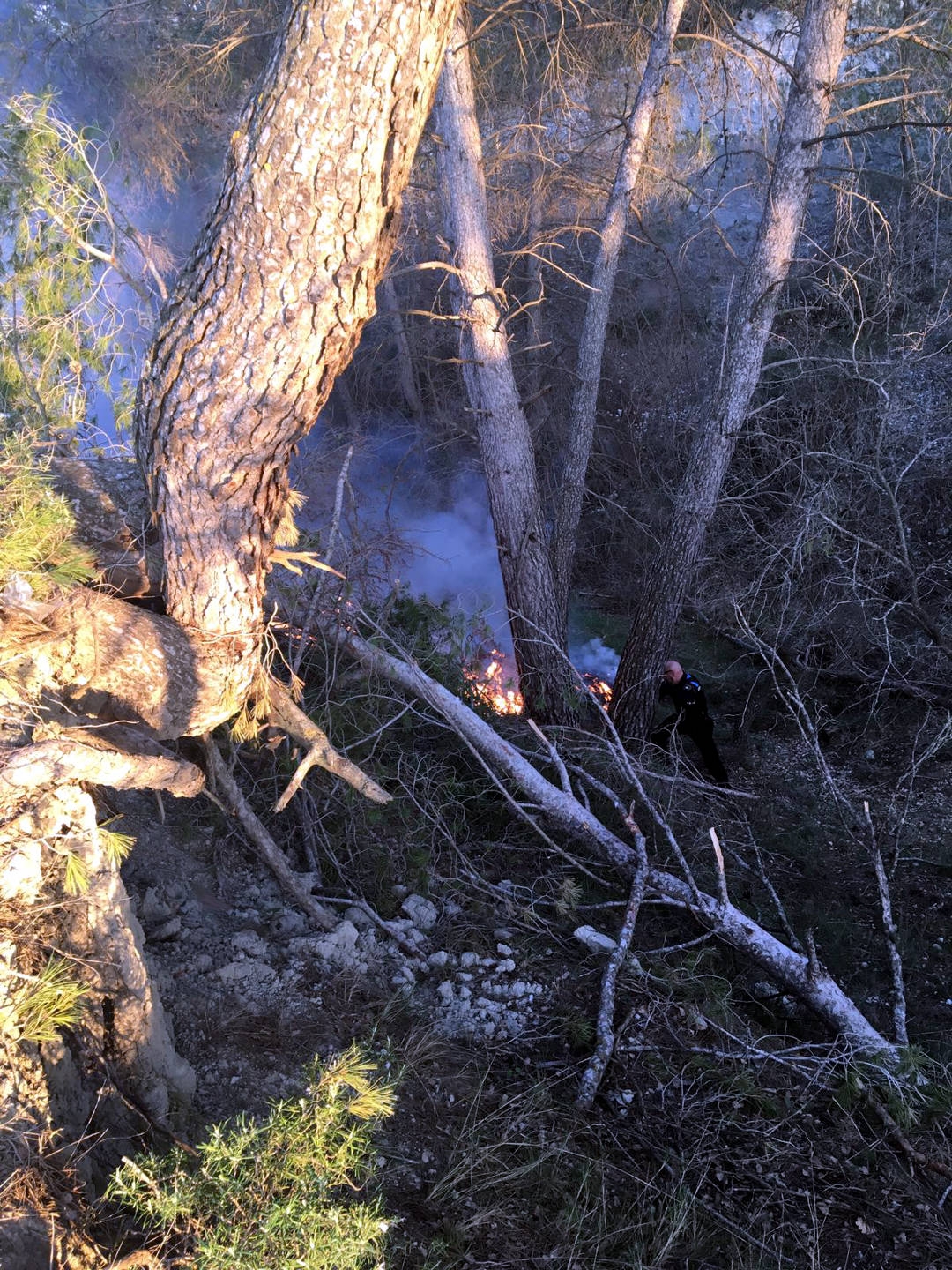 L'incendi, a la zona del bosc de Can Titó FOTO: D. Fariñas