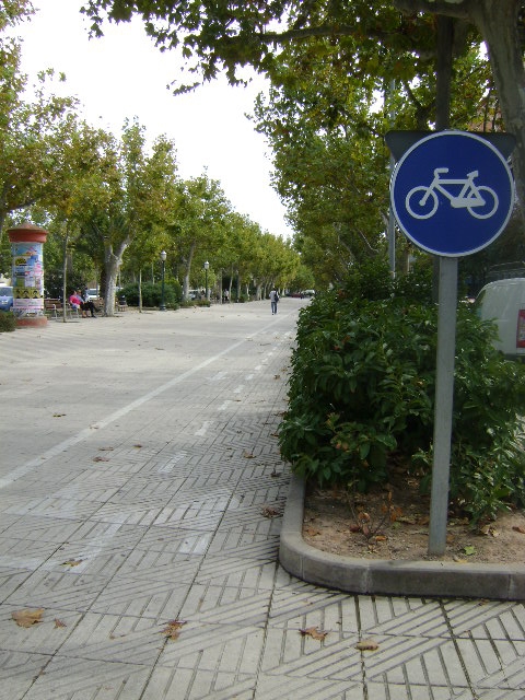 El carril bici estarà pavimentat