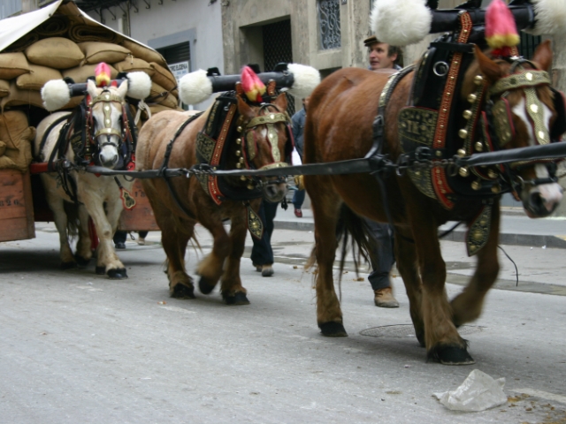 Festa dels Traginers