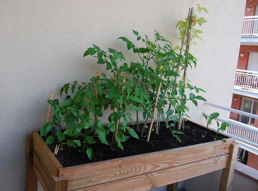 Alguns horts tenen el suport de fusta