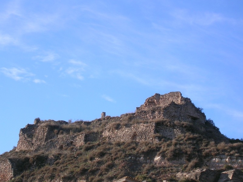 Actualment encara són visibles els basaments d’una torre circular i diverses estances i testimonis del recinte emmurallat