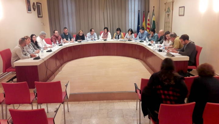 El ple de divendres passat al matí, amb les ordenances de tema estrella