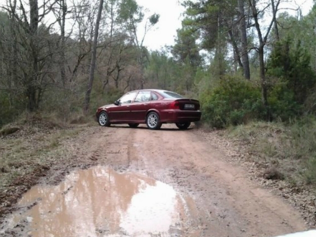 Camí del toll del cavaller el passat mes de febrer