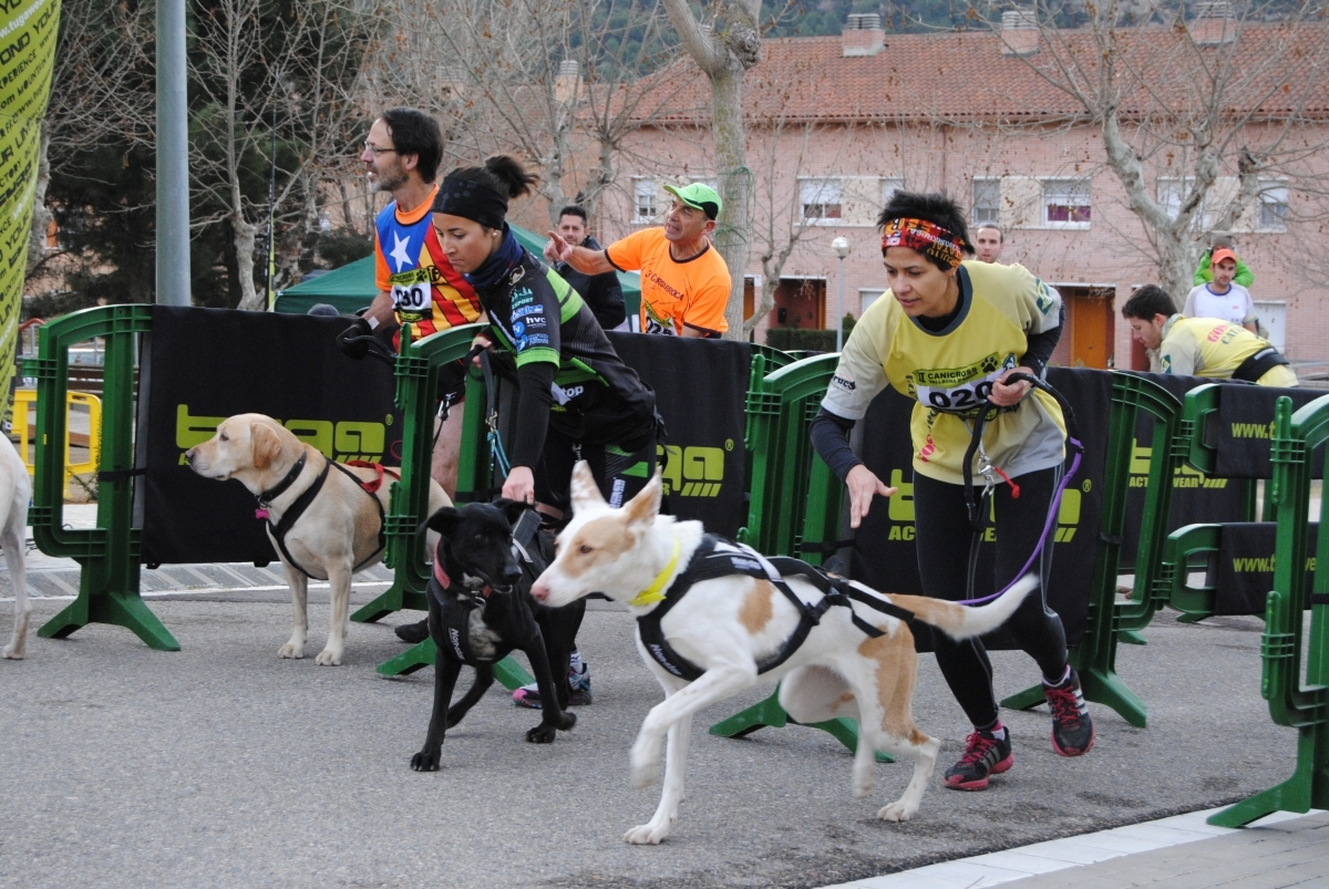 El canicrós torna a Vallbona el 8 de febrer