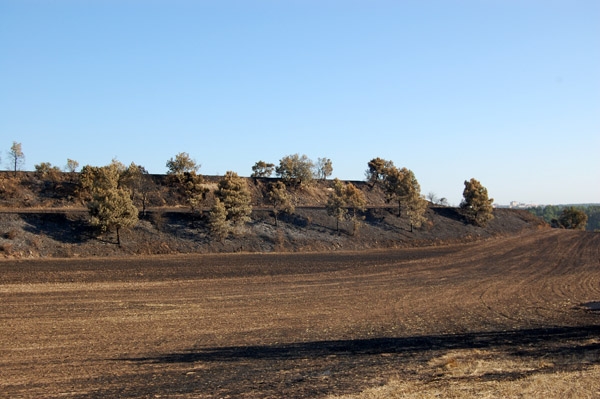 Per sort, la comarca només ha patit petits incendis, com aquest de l'Astor (Pujalt)