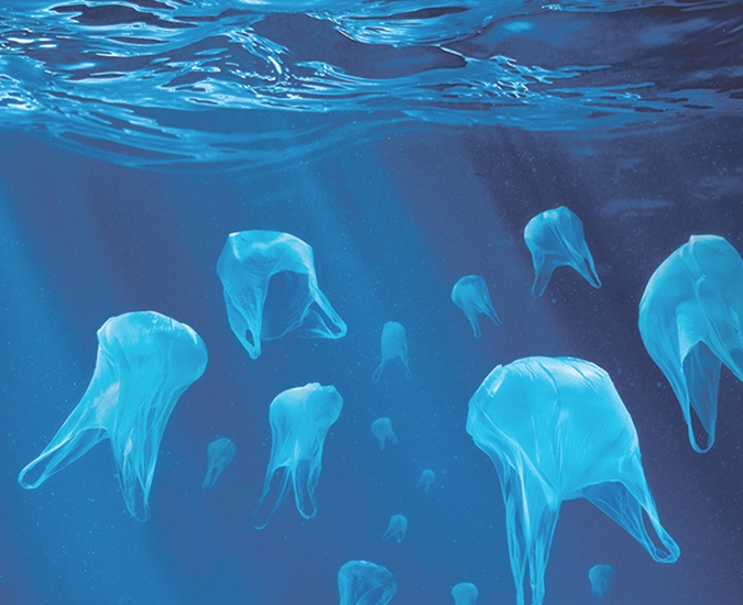 Les bosses de plàstic, un perill per a la fauna marina i per al medi ambient en general