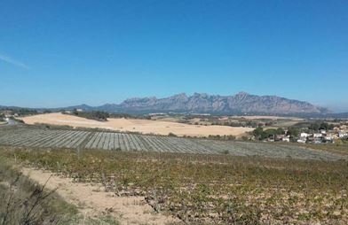 El Maset, amb Montserrat al fons