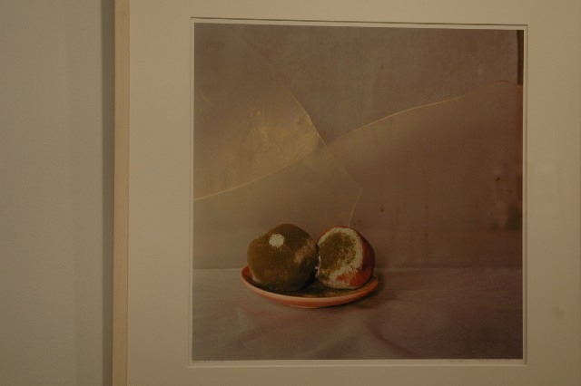 Natures Mortes, a la sala d'exposicions