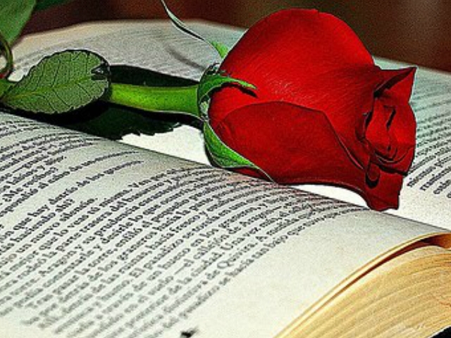 Les roses i els llibres, els protagonistes de la diada