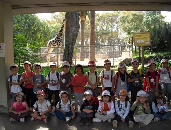 La classe de les Girafes de l'Escola Pia al Zoo