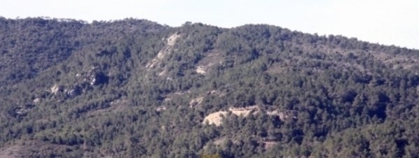 La zona de les Roques Blanques del Bruc