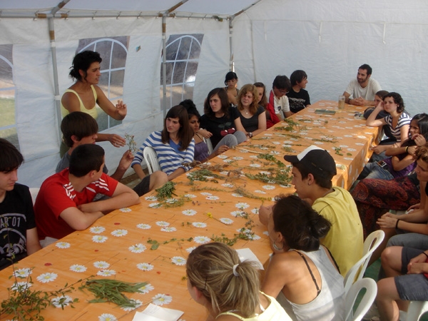 Taller d'herbes remeieres amb els voluntaris catalans del 1er camp