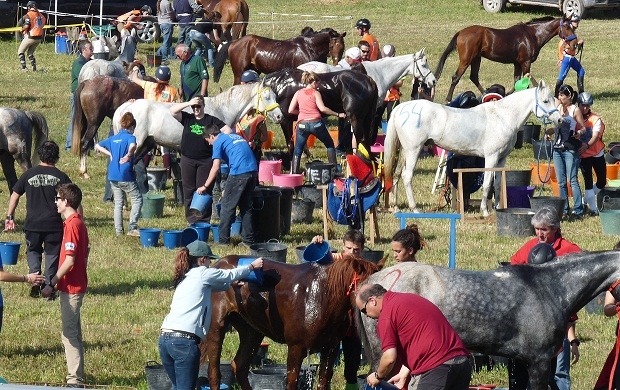 Raid Hípica Pujalt 2011