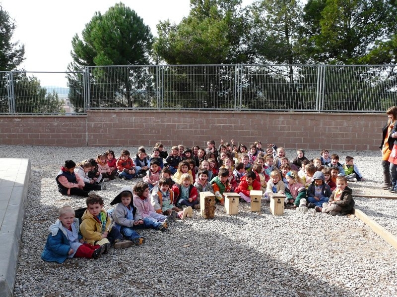 Els petits de l'Emili Vallès i les caixes niu