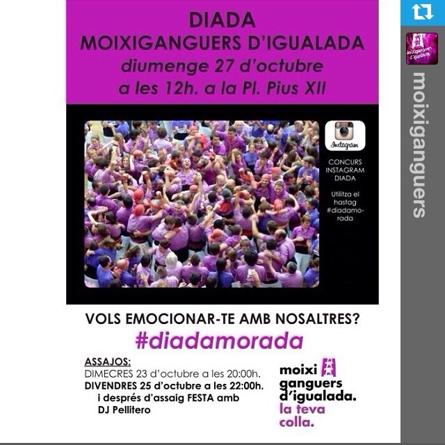 Programa d'actes de la Diada Morada