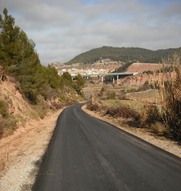 Vista del Camí del Figuerot